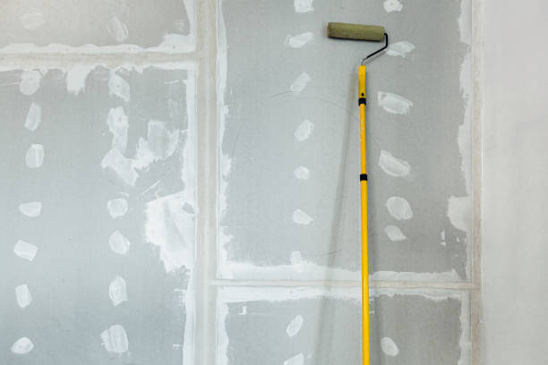 Best Water-Damaged Drywall Repair  in Cadiz, KY